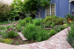 House with garden