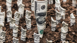 Money growing out of the ground