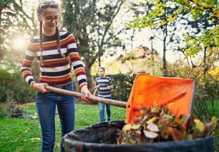 Young girl rakes leaves into organics collection container