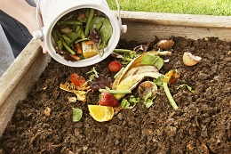 Pouring food scraps into a compost pile
