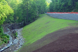 Mulch used in landscape