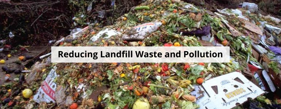 Reducing Landfill Waste and Pollution