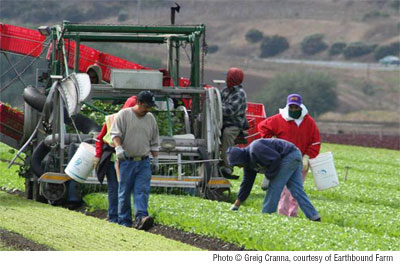 Workers in field. Photo copyright Greig Cranna, courtesy of Earthbound Farm