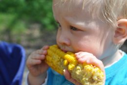 Child eating corn on the cob