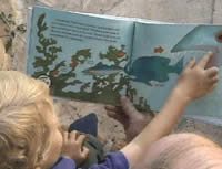 Child reading ocean food chain book