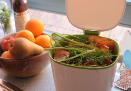 Bowl of Fruits