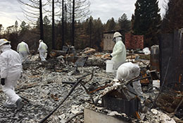 household hazardous waste removal crews clearing wildfire debris