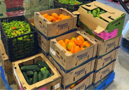 A palette of fresh produce sits in a warehouse waiting to be distributed to needy Californians