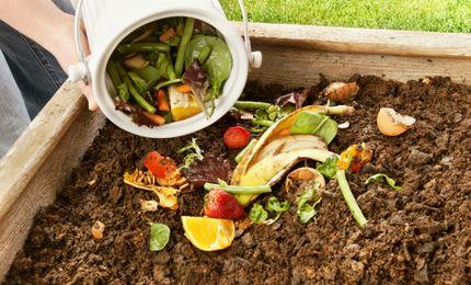 Food being dumped into compost