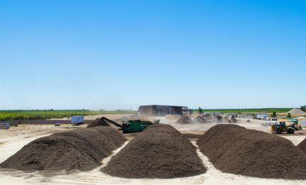 Three big rows of compost