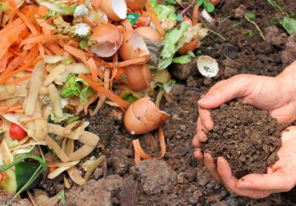 Food waste scraps can be composted in a rich soil amendment