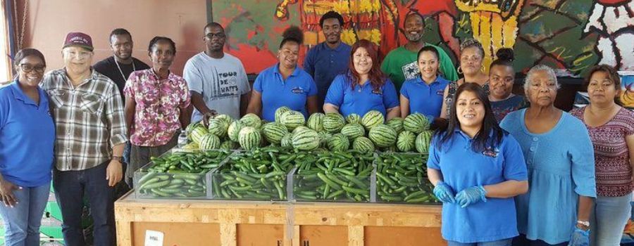 A group of volunteers in front of cucumbers and watermelon waiting to be donated to Californians in need