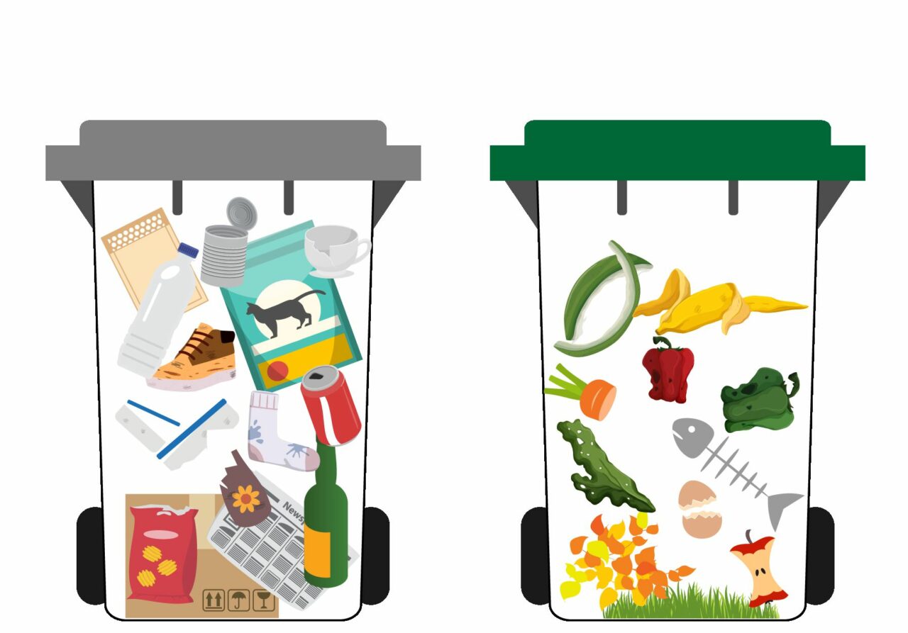 Collection Systems, Standardized Container Colors, and Labeling