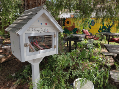 community book sharing structure on property