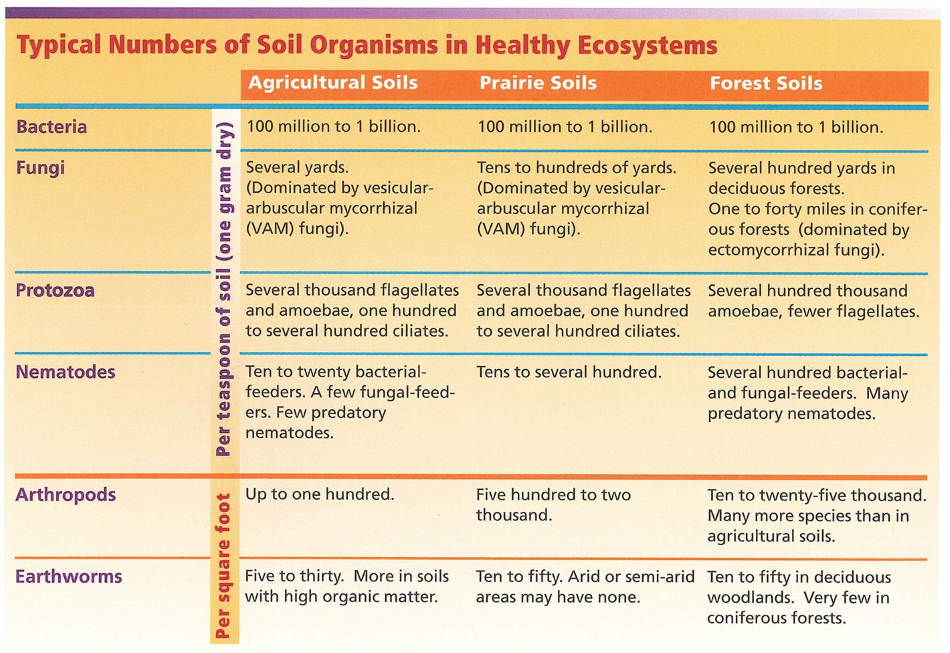 Typical Numbers of Soil Organisms in Healthy Ecosystems chart