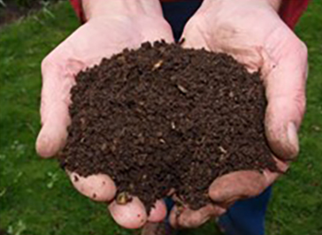 Hand holding compost