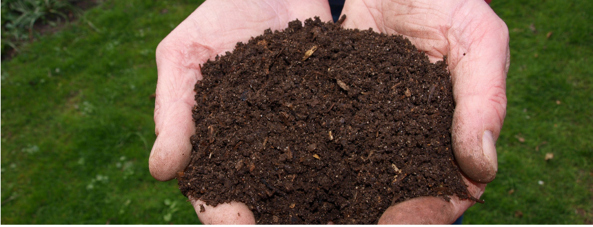 Compost Soil Amendment