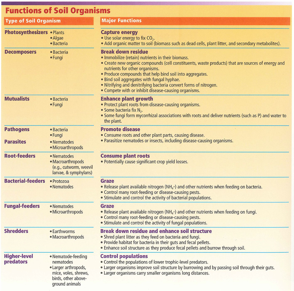 Functions of Soil Organisms chart