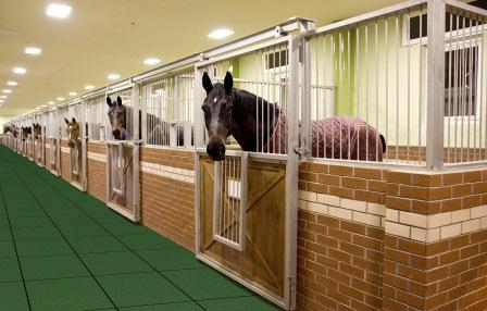 Horses in stables standing on stall floor mats made from recycled tires