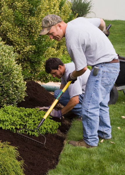 Two men applying compost to a landscaped flower bed