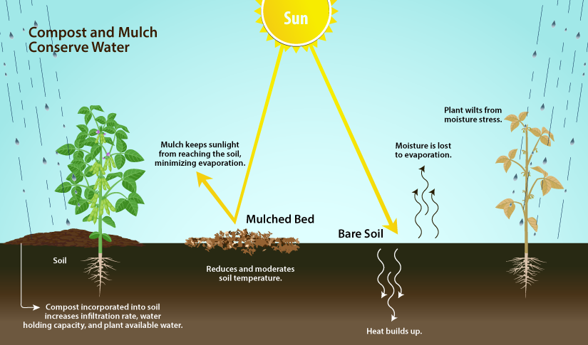 Compost and Mulch Conserve Water System Infographic