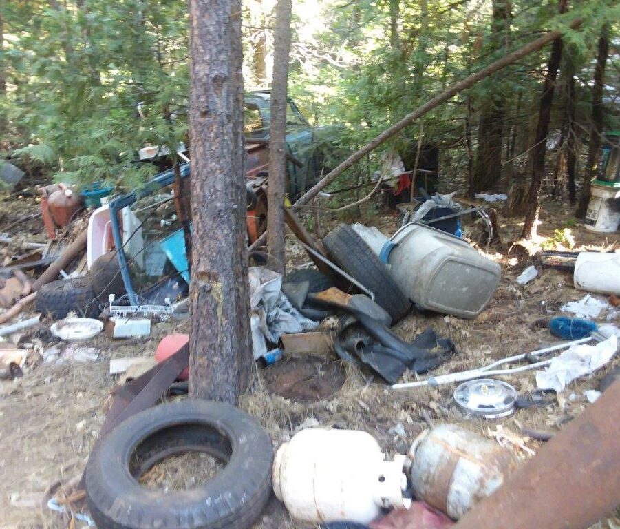 Illegal dumping in a forest