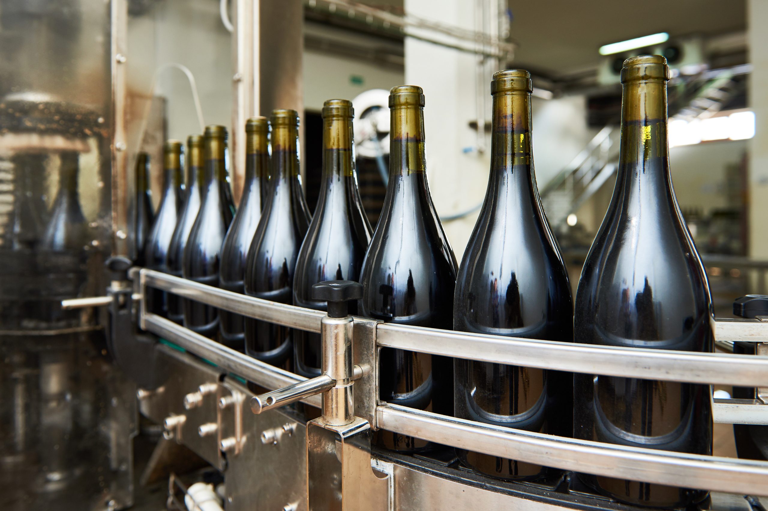 wine bottle factory