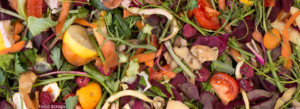 food scraps