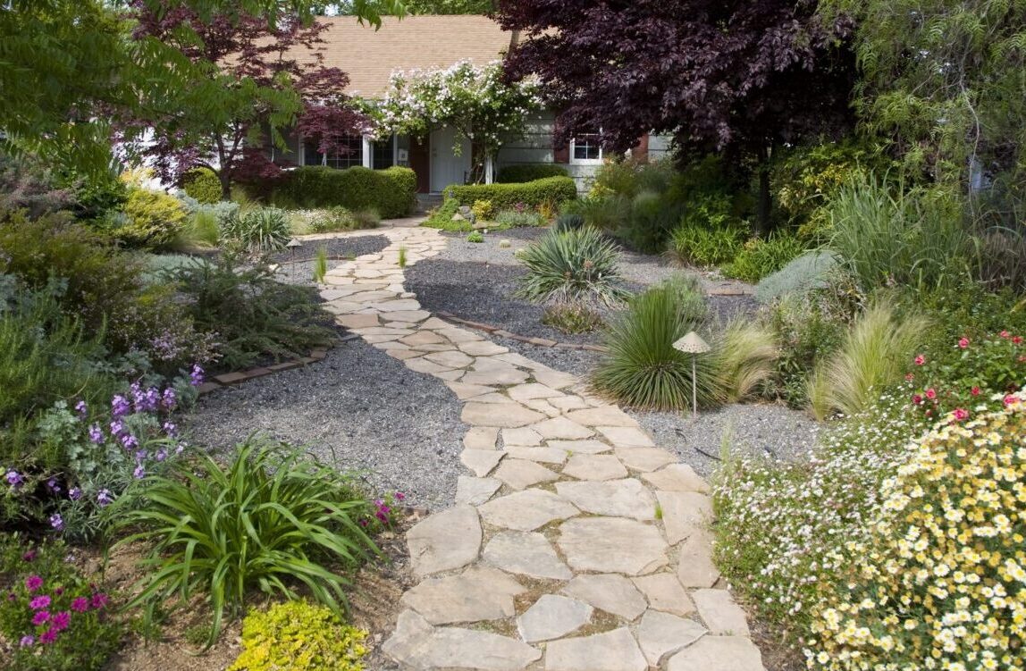 Front yard of water smart garden with stone pathway