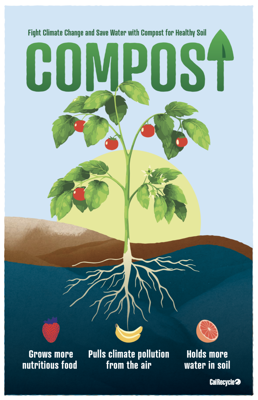 Compost poster with tomato plant and title COMPOST. Tagline: Fight climate change and save water with compost for healthy soil.