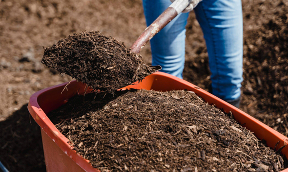 A person digging in the dirt