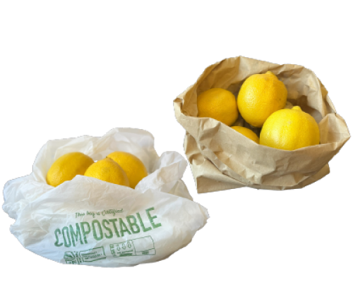 plastic pre-checkout bags