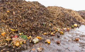 food waste pile
